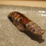 鯛良 - シャコ（神奈川産）