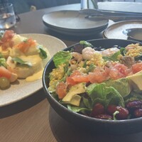 New American Dining GOTTA - 