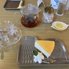 Neko◯cafe - 