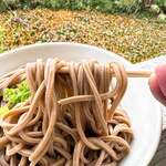 池内うどん店 - 