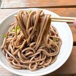 池内うどん店 - 