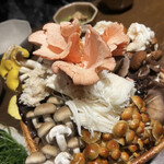 裏の山の木の子 - 