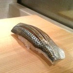 大塚高勢 - 熊本の小鰭