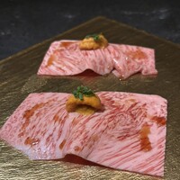 PONGA PREMIUM - 