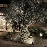 小笠原伯爵邸 - 