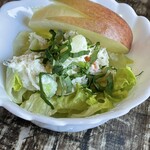 夏への扉 - サラダ