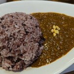 キッチン ブルー グローブ - 薬膳カレーのアップ