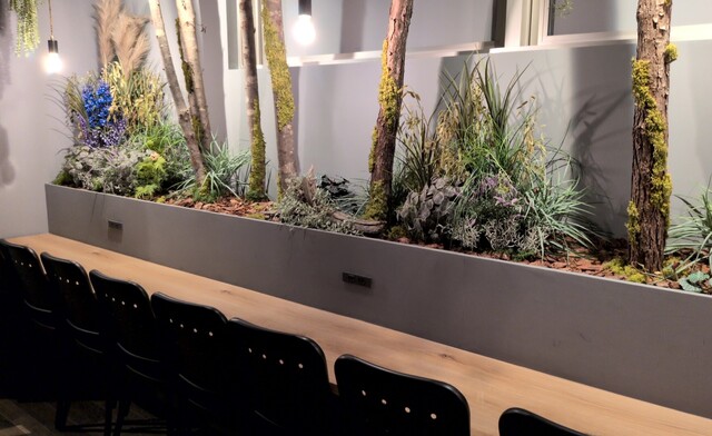 aruhi_morinonaka photo 5