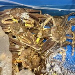 越前がに やまに水産 - 