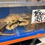 越前がに やまに水産 - 