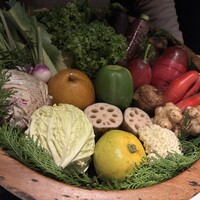 レフェルヴェソンス - 