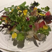 レフェルヴェソンス - 