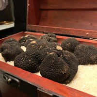 西麻布 焼肉 X - 本日のトリュフ