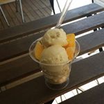 ワンクロアイスクリーム - マンゴー