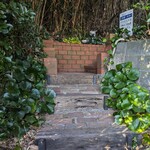 アマルフィイ デラセーラ - アマルフィイ デラセーラ