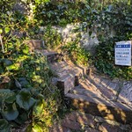 アマルフィイ デラセーラ - アマルフィイ デラセーラ