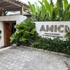 Amici Bali