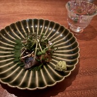 SHIKAKU - 