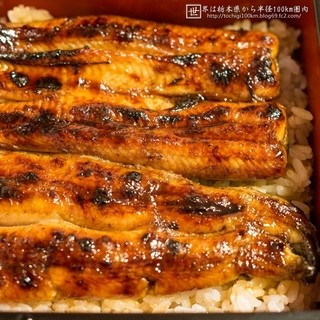 和食たにぐち _1