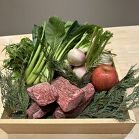肉屋ひかり - 