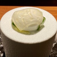 TACUBO - 