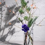 Three HORSES KYOTO - 