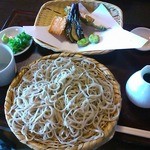 手打ちそば　なる味 - 野菜天ざる