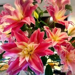 Patisserie Chez KOBE - 