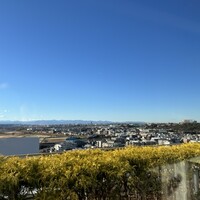 代官山ASO チェレステ 二子玉川店 - 