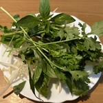 サイゴン - 一緒に出てくるパクチーが加工無しで出てくるw
