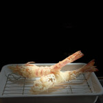 中州屋台 紀文 - 