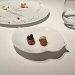 ピエール・ガニェール - 