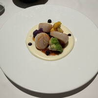 Benoit Alain Ducasse - 