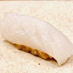 鮨 冨味 - すみイカ