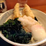 さぬきうどんのたぬき - 