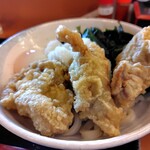 さぬきうどんのたぬき - 