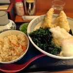 さぬきうどんのたぬき - 