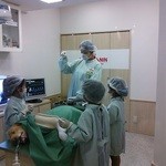 モスバーガー - 「動物病院」パビリオンで、外科手術中の娘。
