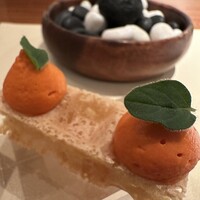 スリオラ - 