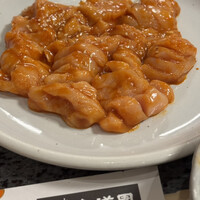 川崎名物 炭火焼肉 食道園 -  川崎名物 炭火焼肉 食道園 -