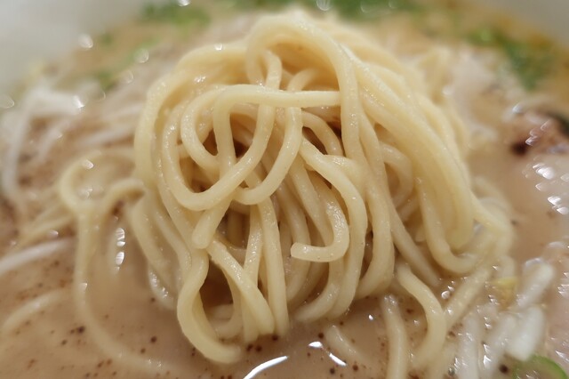 熊五郎 過去開催］2025.06 熊五郎展｜ギャラリー久永｜鹿児島市天文館にある