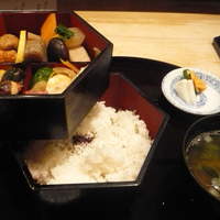 神田 いるさ - 