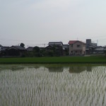 すだち - すだちさん、東側より。