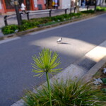 宮城野 - おそらく酔いにまかせることだけは確かです