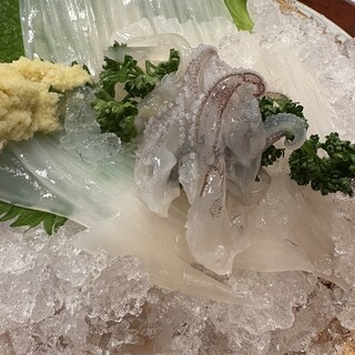 旬の地元鮮魚を多数ご用意してます！
