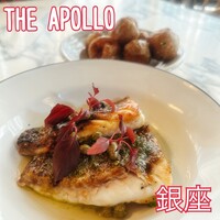 THE APOLLO - 