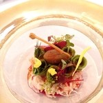 コンヴィヴィアリテ - 紅ずわい蟹とアボカドの冷菜