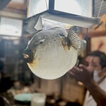 桑名 - カウンターにふぐ提灯がひとつ、カワイイです