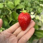 姫路ハートフル観光農園 - 