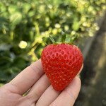 姫路ハートフル観光農園 - 